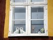 Keramikhunde im Fenster Keramikhunde im Fenster