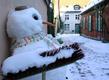 Schneemann Schneemann