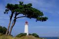 Leuchtturm auf Hiddensee Leuchtturm auf Hiddensee